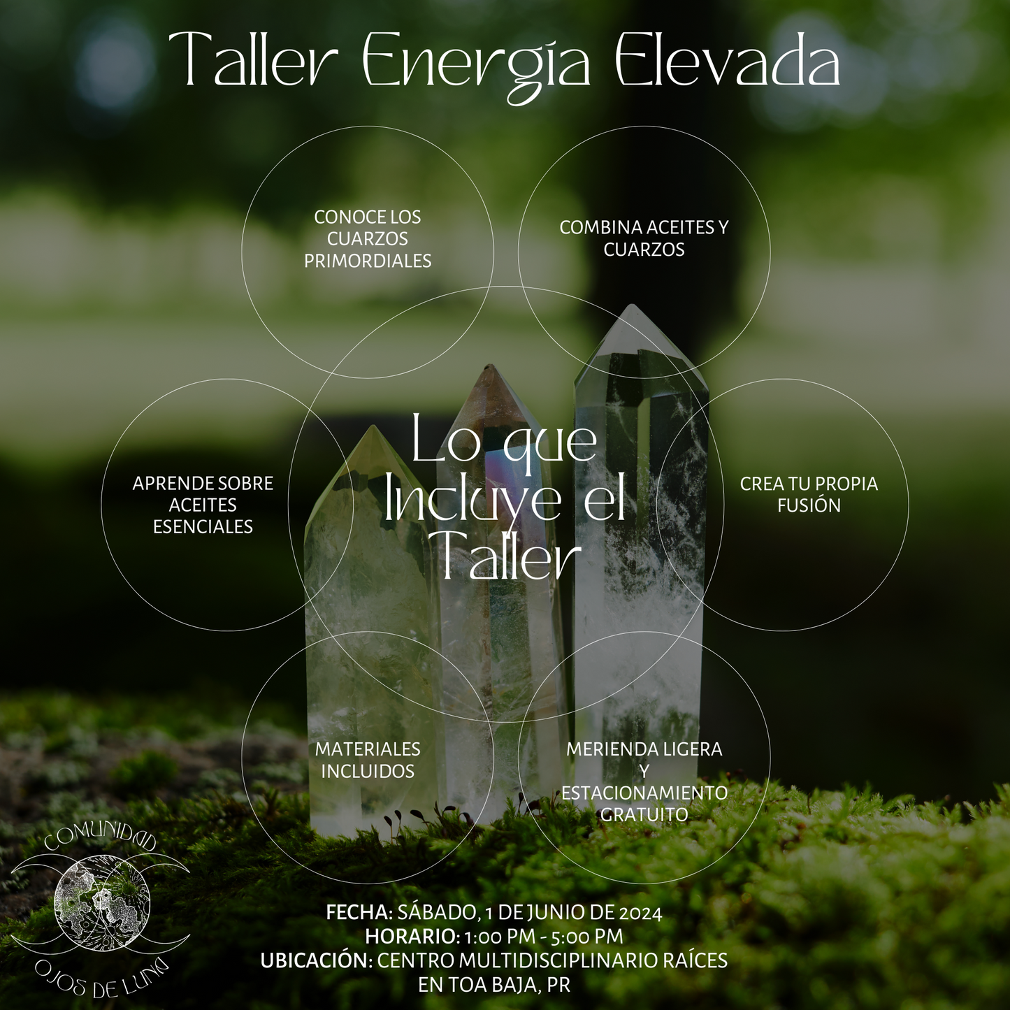 Taller Energía Elevada