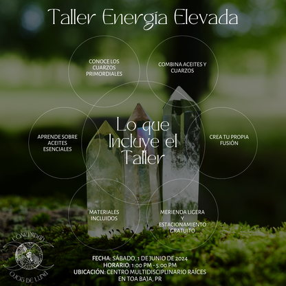 Taller Energía Elevada